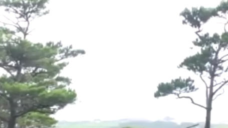 ヤリマンギャル達とハーレム中出しエッチ！これはうらやまｗ