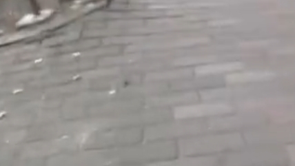 ナンパされたスタイル抜群な美女がおっぱいやおまんこを弄ばれちんぽを手コキから舐めしゃぶりハメ撮りSEXでイキまくる!