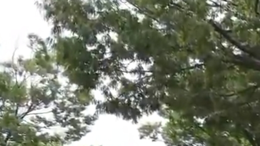 自らAV会社に応募して初撮りを果たすシロウトの綺麗な三十路妻の不倫SEX