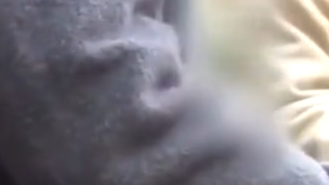 ヤルか？ヤらないか？ガチ素人の男女学生をホテルに閉じ込めればお金欲しさに生中出しヤリまくりぃ～！！