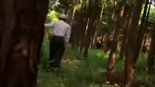 ［パイパン村］恐怖！古い因習に彩られた山間の村掟！つるつるま○ビラ開帳されてしまうのだった！［愛咲れいら 柳田やよい］