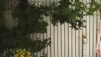 【音市美音】ショートカットの制服美少女が初々しいフェラ抜き